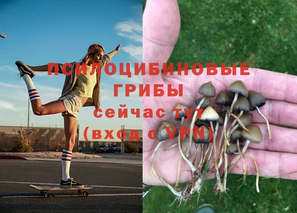 стафф Тында
