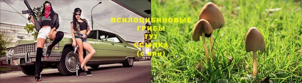 стафф Тында
